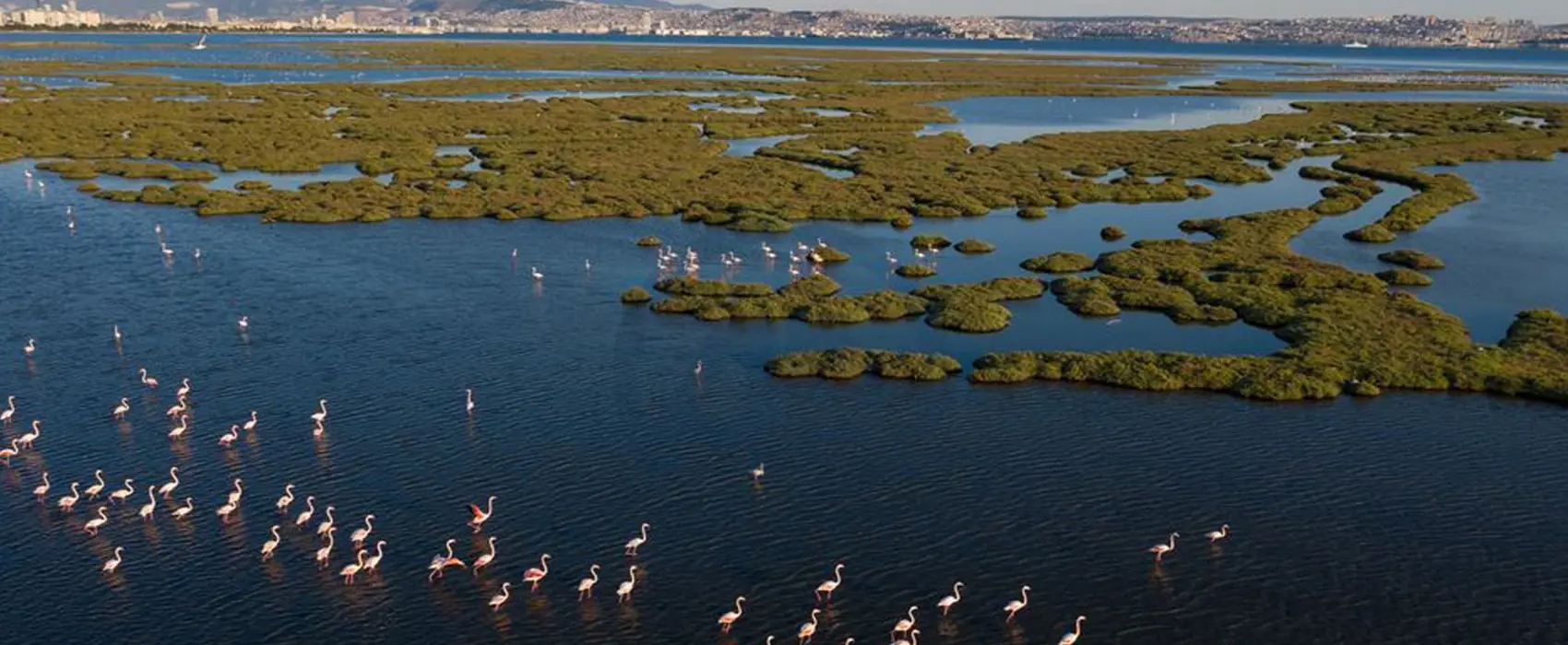 Yer atlı suyu mühendisliği