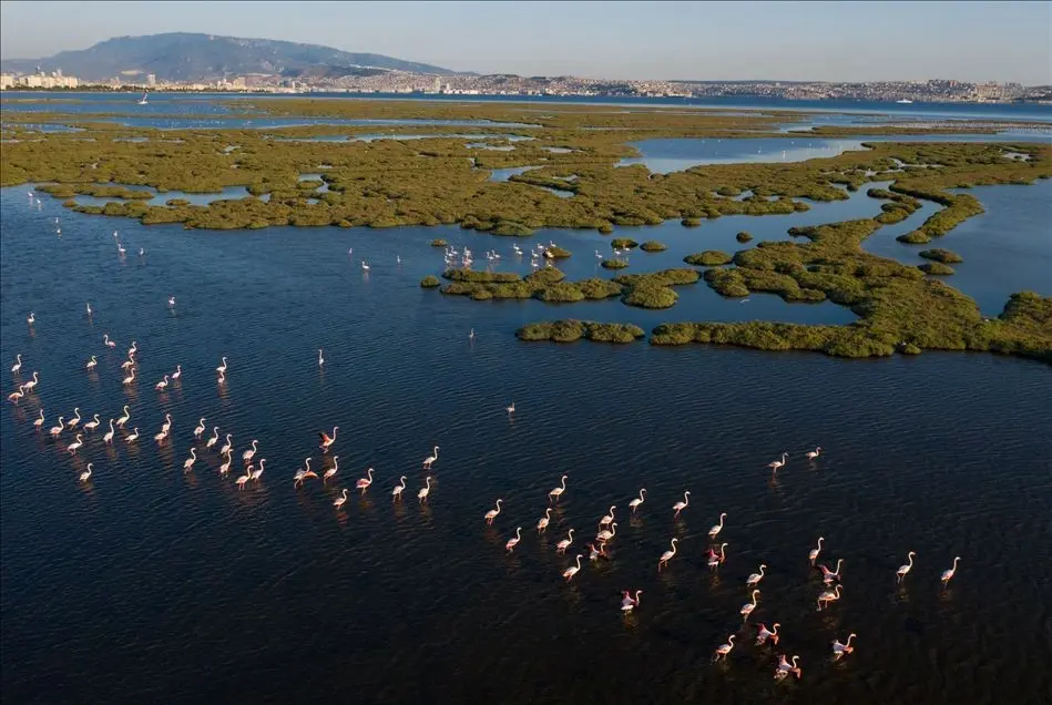 Gediz Deltası Sulak Alan Yönetim Planı Projesi